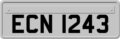 ECN1243
