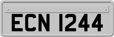 ECN1244