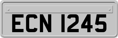 ECN1245