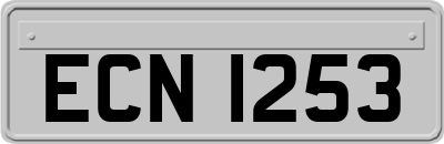 ECN1253