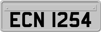 ECN1254