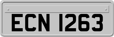 ECN1263
