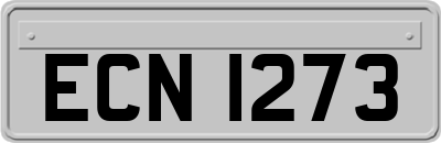 ECN1273