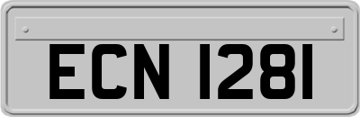 ECN1281