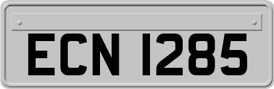 ECN1285