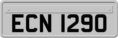 ECN1290
