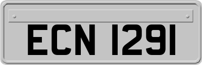 ECN1291