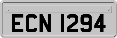 ECN1294