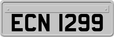 ECN1299