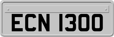 ECN1300