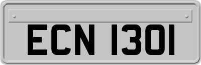 ECN1301