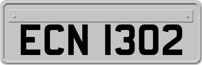 ECN1302