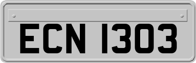 ECN1303