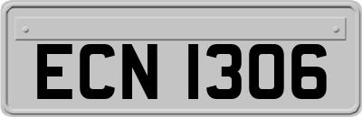 ECN1306