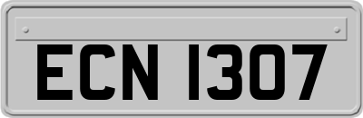 ECN1307