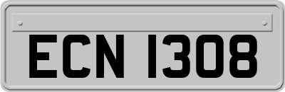 ECN1308