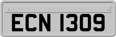 ECN1309