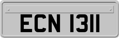 ECN1311