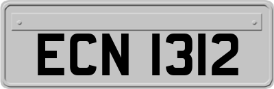 ECN1312