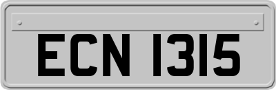 ECN1315