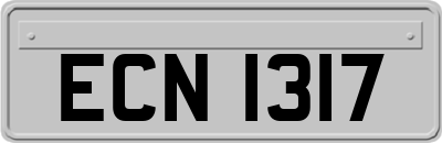 ECN1317