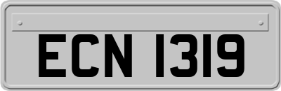 ECN1319
