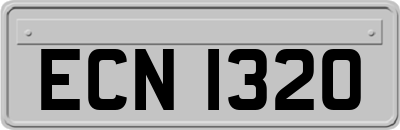 ECN1320