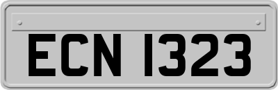 ECN1323