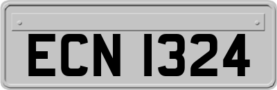 ECN1324