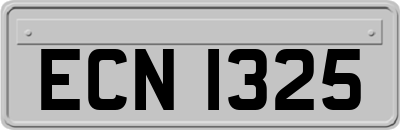 ECN1325