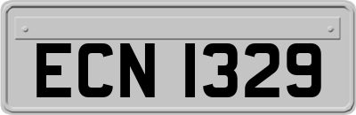ECN1329