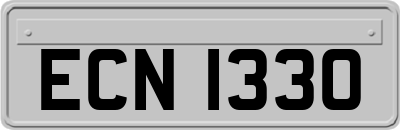ECN1330
