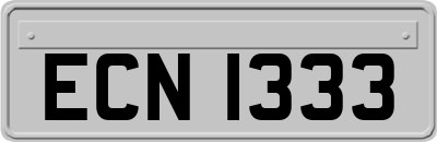 ECN1333