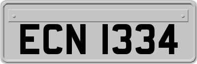 ECN1334
