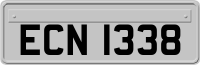 ECN1338