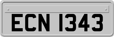 ECN1343
