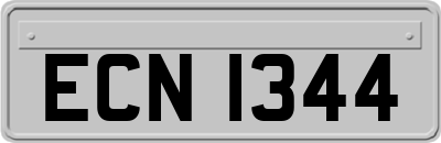 ECN1344