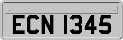 ECN1345
