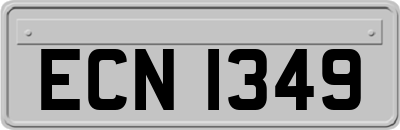 ECN1349