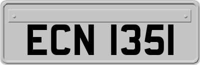 ECN1351