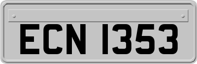 ECN1353