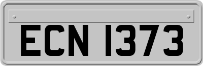 ECN1373