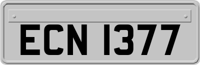 ECN1377