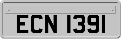 ECN1391
