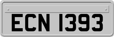 ECN1393