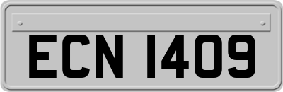 ECN1409