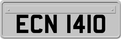 ECN1410