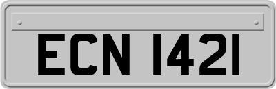ECN1421