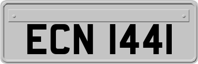 ECN1441