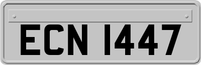 ECN1447